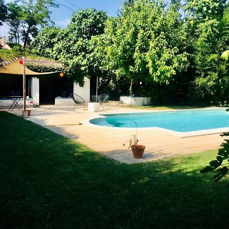 Studio Independant Terrasse Piscine Avignon Exterior photo